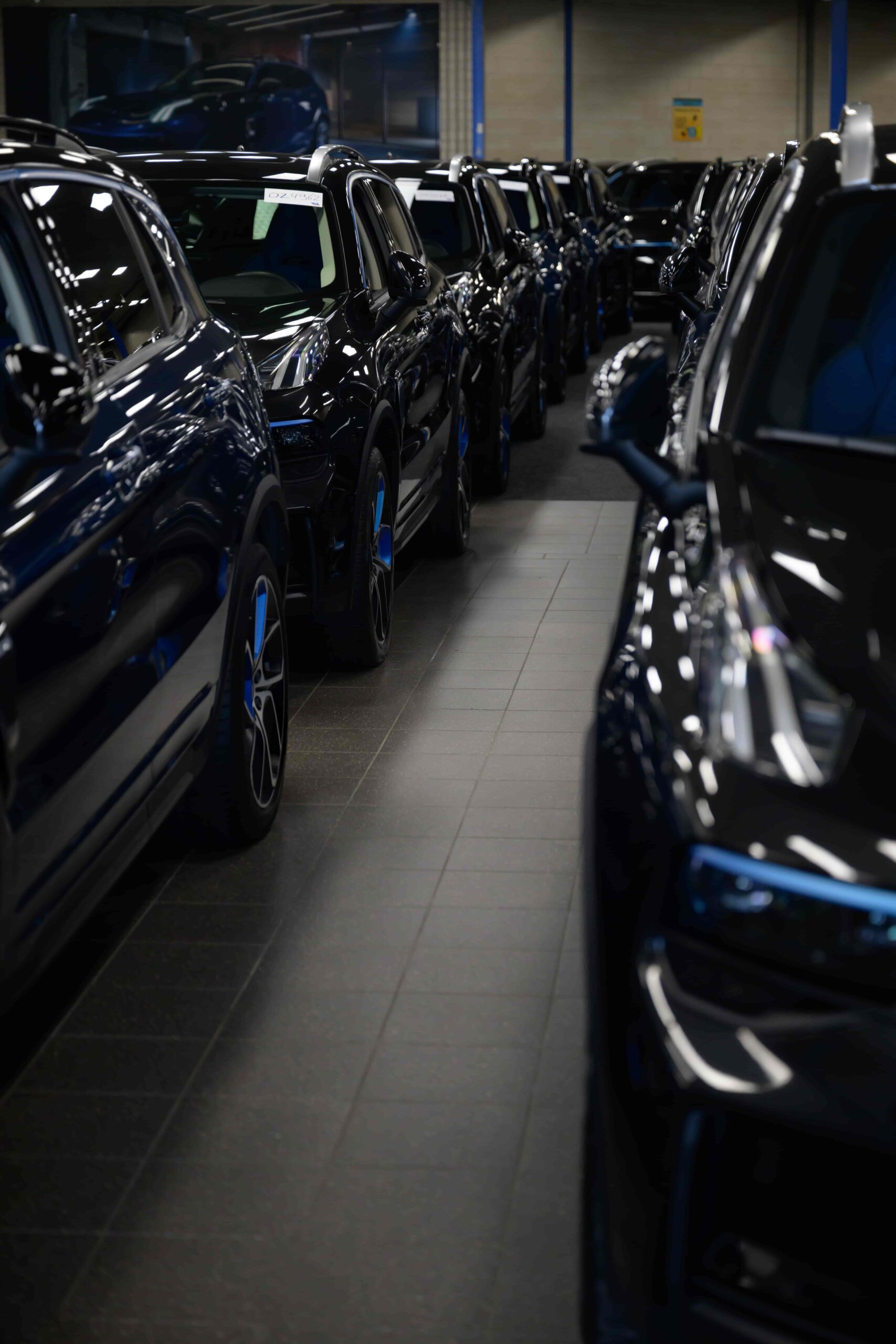 Rijen occasions in de showroom van RVL Auto’s